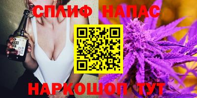 дмт Будённовск