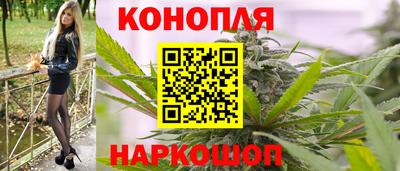дмт Будённовск