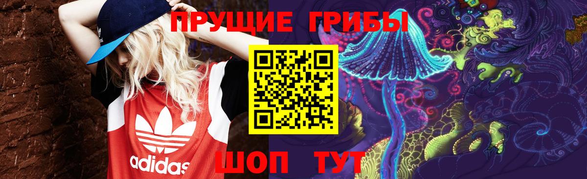 Севастополь  Галлюциногенные грибы Magic Shrooms  Вход с VPN 